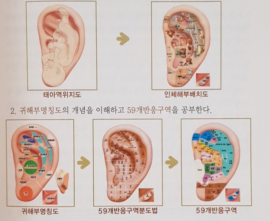 (학습형)귀컨티션지도사2급(이혈테라피 전문가)