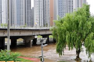 유등교 침하 현장:4번째 이미지