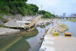 장마철 폭우피해 현장(문창교 주변):6번째 이미지