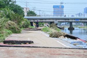 장마철 폭우피해 현장(문창교 주변):7번째 이미지