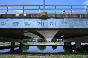 장마철 폭우피해 현장(태평교 주변):9번째 이미지