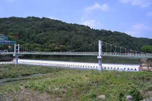 장마철 폭우피해 현장(뿌리공원):5번째 이미지