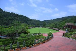 장마철 폭우피해 현장(뿌리공원):6번째 이미지