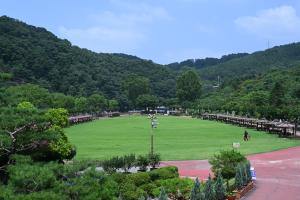 장마철 폭우피해 현장(뿌리공원):7번째 이미지