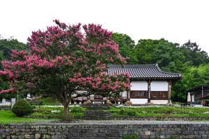 여경암(배롱나무):3번째 이미지