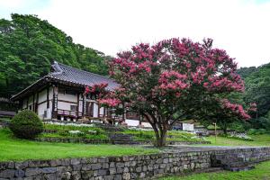 여경암(배롱나무):4번째 이미지