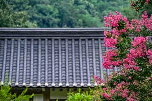 여경암(배롱나무):5번째 이미지