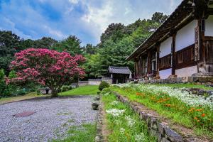 여경암(배롱나무):6번째 이미지