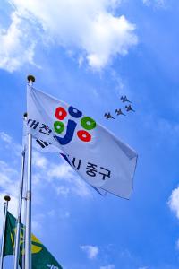 0시축제 블랙이글 비행단 연습비행:4번째 이미지