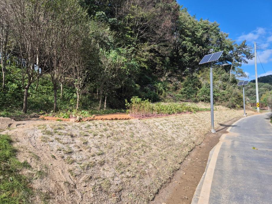 뿌리공원은 아니지만.. 이미지