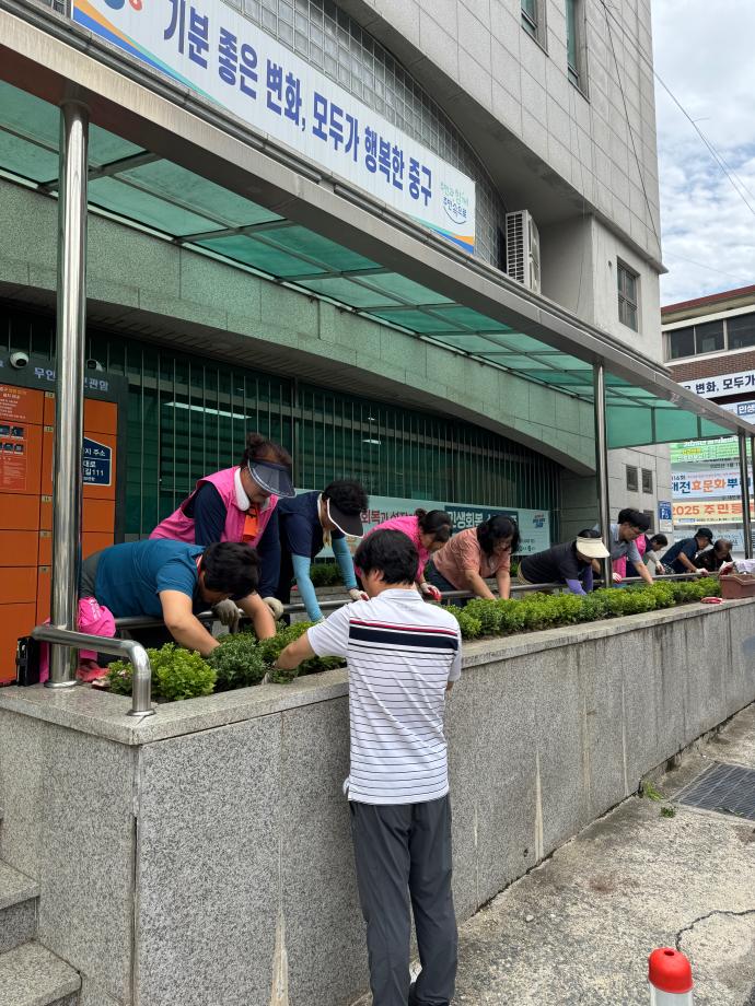 용두동 통장협의회 “주민과 함께 가을꽃 심고 추석맞이 환경정비 행사” 이미지