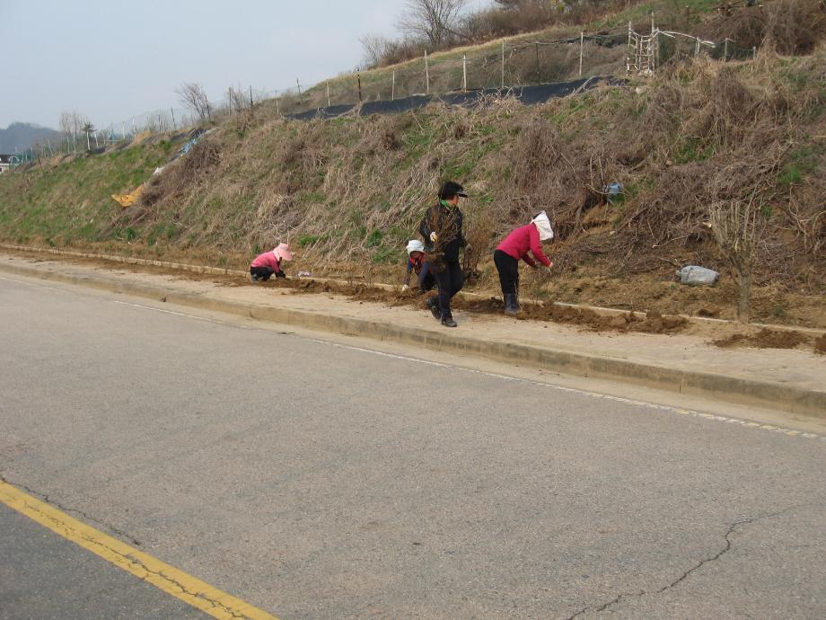 침산동 지역주민들이 마을입구에 꽃심기작업 전개 이미지
