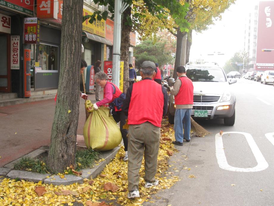 대사동 노인일자리사업 참여 어르신 가을철 낙엽쓰레기 청소 자원봉사 이미지