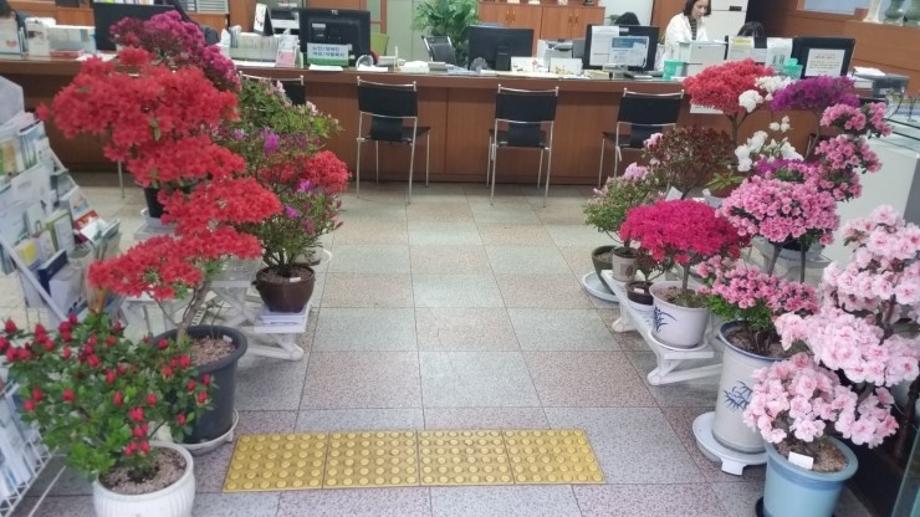 부사동, 다시찾고 싶은 아름다운 꽃 전시회 개최 이미지