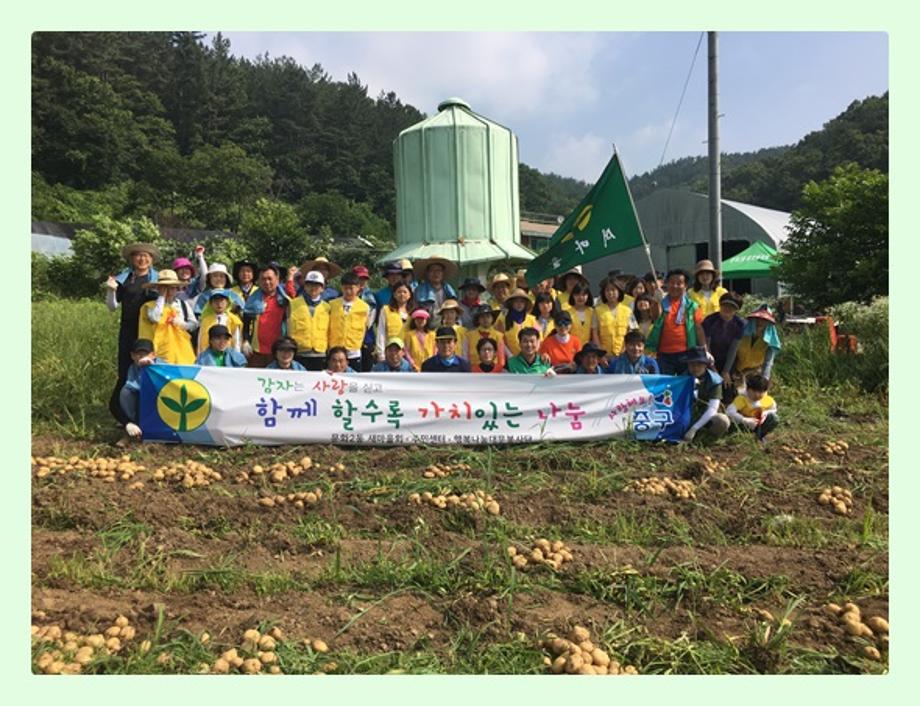 문화2동 새마을회와 행복나눔대문봉사단 어려운 이웃돕기 감자수확 및 전달 이미지