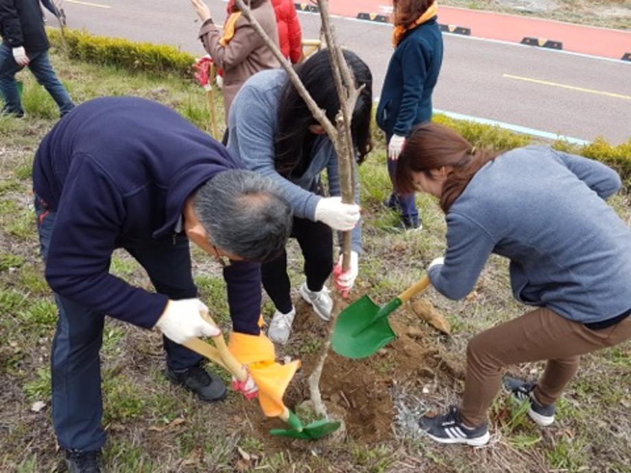 2019년 유천1동 식목일 나무심기 행사참여 이미지