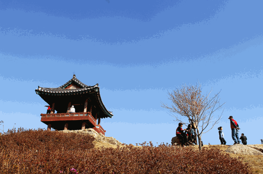 보문산의 가을을 찾는 시민들 이미지