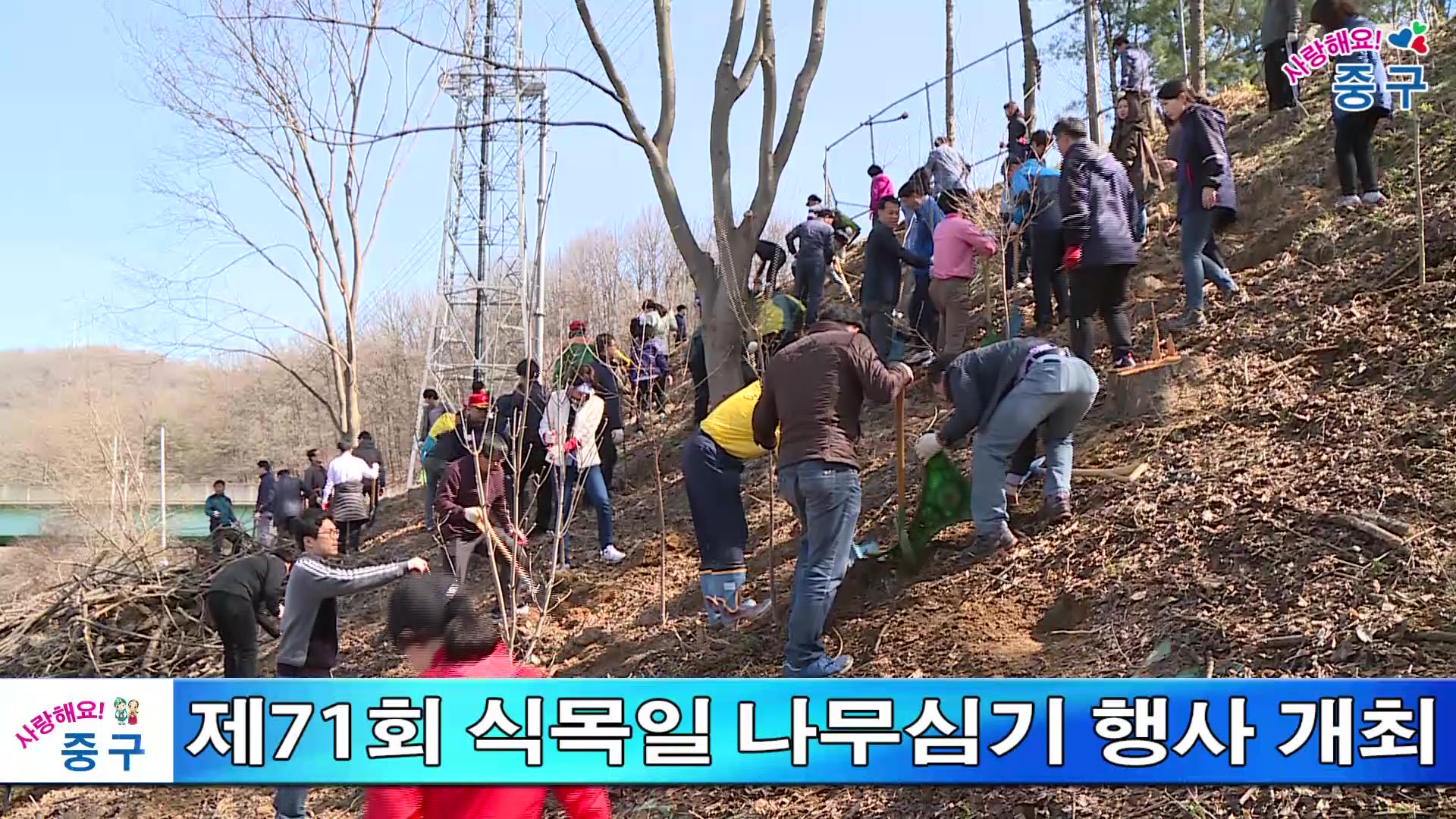 제71회 식목일 나무심기 행사 이미지