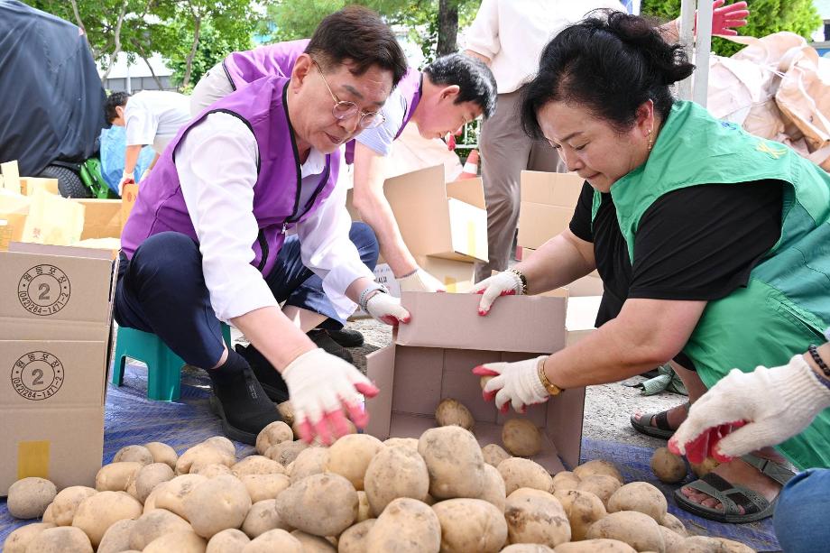 사랑의 감자 나눔 행사(석교동)