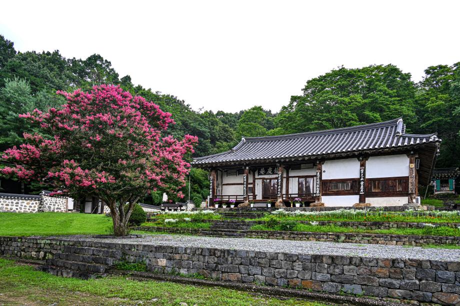 여경암(배롱나무)